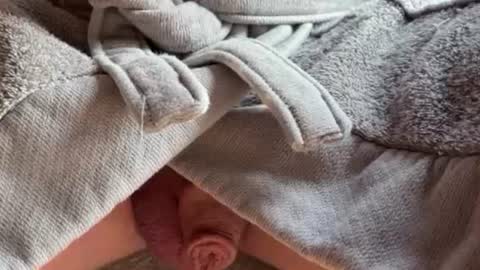 Snapshot of saconuts chatting on February 2026 08:54:02 AM saconuts online show from February 2026 08:54:02 AM