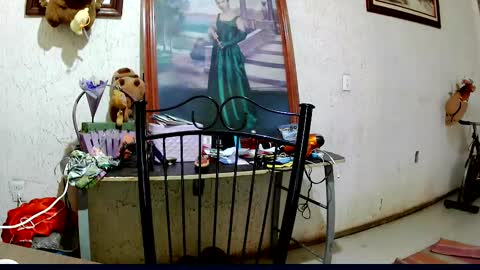 Snapshot of sailor_ruby7 chatting on October 2025 09:11:01 PM ruby  chocoholic cakeholic coffeeholic cookieholic online show from October 2025 09:11:01 PM