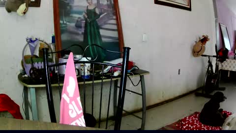 Snapshot of sailor_ruby7 chatting on October 2025 10:42:01 PM ruby  chocoholic cakeholic coffeeholic cookieholic online show from October 2025 10:42:01 PM