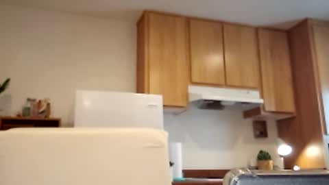 Snapshot of salis1981 chatting on March 2025 05:36:02 PM salis1981 online show from March 2025 05:36:02 PM