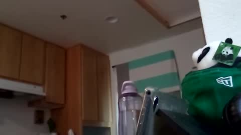 Snapshot of salis1981 chatting on September 2025 07:49:01 PM salis1981 online show from September 2025 07:49:01 PM