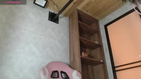 Snapshot of sally23_ chatting on November 2025 02:18:01 PM salloy online show from November 2025 02:18:01 PM