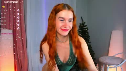 Snapshot of sallybiscuit chatting on December 2024 04:52:01 PM Sally online show from December 2024 04:52:01 PM