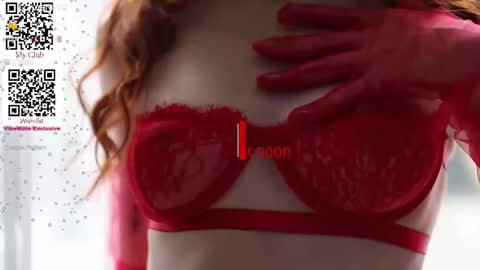 Snapshot of sallybiscuit chatting on January 2025 04:39:01 PM Sally online show from January 2025 04:39:01 PM