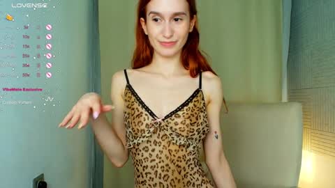 Snapshot of sallybiscuit chatting on February 2025 04:47:01 PM Sally online show from February 2025 04:47:01 PM