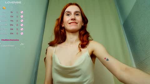 Snapshot of sallybiscuit chatting on February 2025 01:32:02 PM Sally online show from February 2025 01:32:02 PM