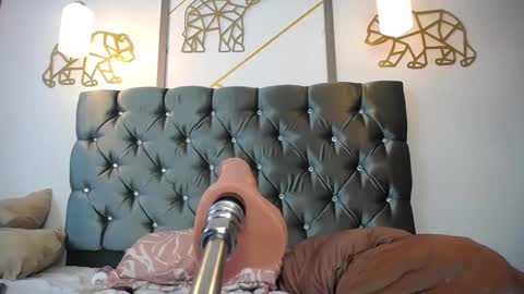 salmazaman online show from January 2025 02:02:01 AM