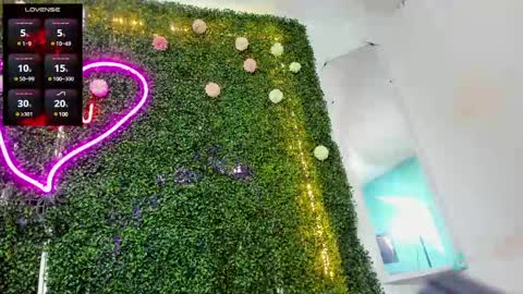 salome online show from December 2024 10:20:02 PM