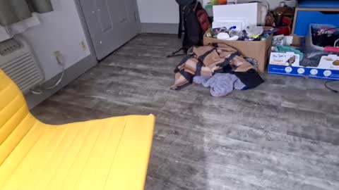 Snapshot of samboiamtho chatting on January 2025 06:11:02 AM samboiamtho online show from January 2025 06:11:02 AM