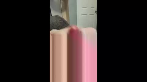 samdprl52 online show from March 2026 02:31:01 PM