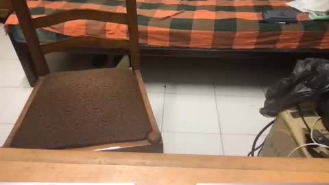 samhotbbc7 online show from October 2025 12:33:01 AM