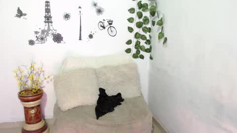 SAMIRA online show from January 2025 01:42:02 AM