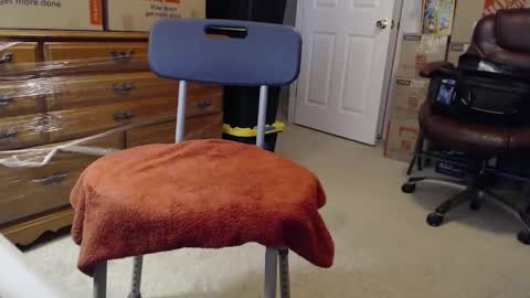 Snapshot of sammyduz2 chatting on November 2025 02:29:02 PM Sammy online show from November 2025 02:29:02 PM