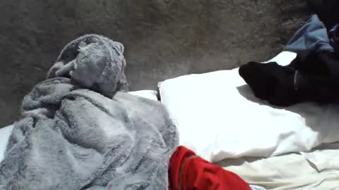 Snapshot of samuel987017 chatting on December 2024 06:08:02 AM samuel987017 online show from December 2024 06:08:02 AM