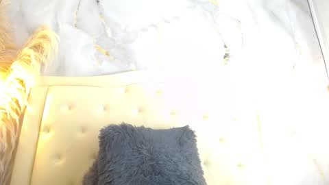 Snapshot of samy_moore14 chatting on December 2025 07:53:02 PM S A M A N T H A online show from December 2025 07:53:02 PM