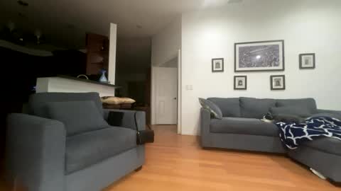 Santana online show from February 2026 06:03:02 AM