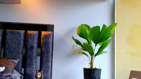 Santiago Seans online show from February 2026 01:28:02 PM