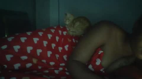 sapgaal online show from January 2026 02:49:01 AM