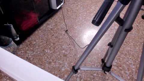 sara_salgado online show from February 2026 11:07:02 AM