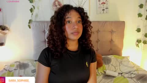 Snapshot of sara_sophiee chatting on February 2025 02:14:01 AM sara sofia online show from February 2025 02:14:01 AM