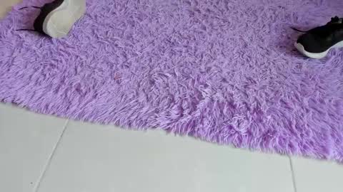 sarah  cinnamon online show from December 2025 06:58:01 PM