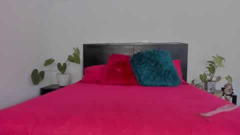 Girl next door online show from January 2025 05:48:01 PM