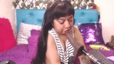 Sara Wills online show from February 2026 02:11:02 PM