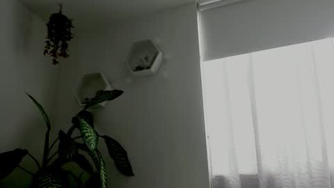 Saray  online show from February 2026 09:41:01 PM