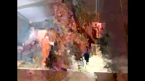 Sassyella online show from September 2025 03:39:02 AM