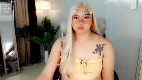 MARIO LABO online show from December 2024 05:28:02 AM