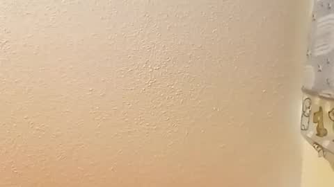 Snapshot of saucybear666 chatting on December 2024 03:44:01 PM SnowBunny online show from December 2024 03:44:01 PM