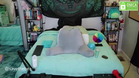 Snapshot of savethebea chatting on November 2025 06:57:01 PM Bea online show from November 2025 06:57:01 PM