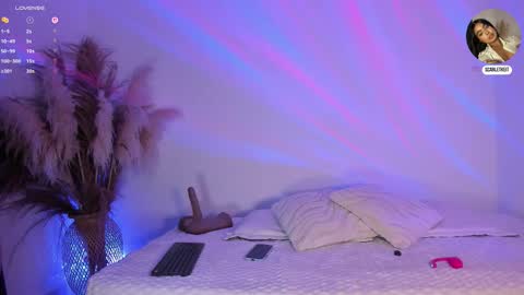 Snapshot of scarlett_keitt chatting on February 2026 11:03:01 AM scarlet online show from February 2026 11:03:01 AM