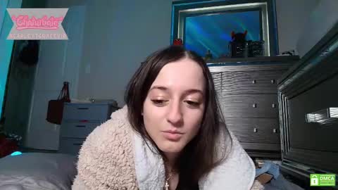 Snapshot of scarlettgracevip chatting on February 2025 11:34:01 PM scarlettgracevip online show from February 2025 11:34:01 PM