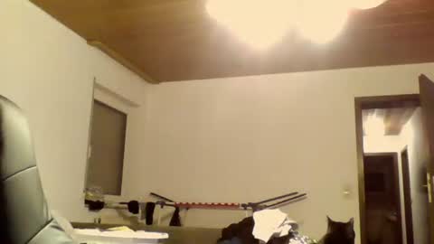 schnibschnab online show from October 2025 11:47:02 PM