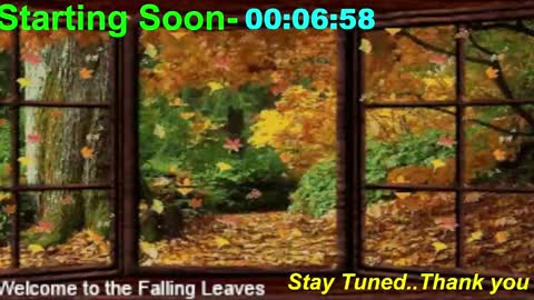 Snapshot of scifidiscoguy chatting on November 2025 01:04:02 AM ...PHIL... online show from November 2025 01:04:02 AM