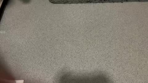 scottyc48 online show from December 2025 02:11:01 PM