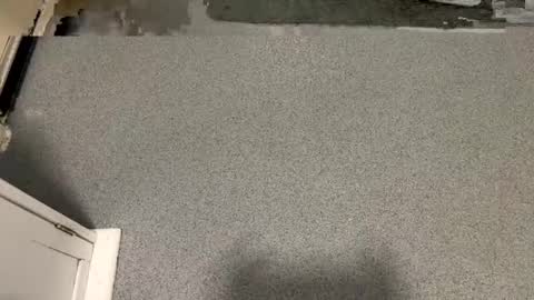 scottyc48 online show from January 2026 01:48:02 PM