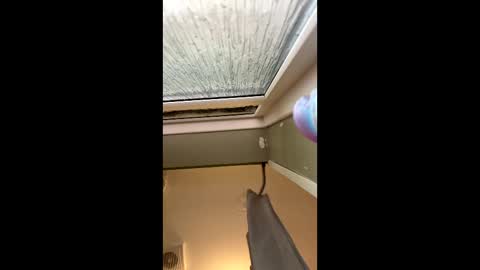 scottyc48 online show from March 2026 02:50:01 PM