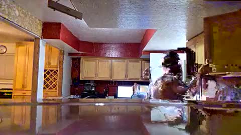 Snapshot of screwnutandbolte chatting on December 2025 10:35:01 AM screwnutandbolte online show from December 2025 10:35:01 AM