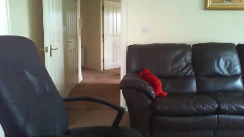 seakrait online show from March 2026 08:26:33 AM