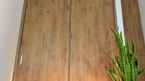 sebastian online show from February 2026 01:26:01 AM