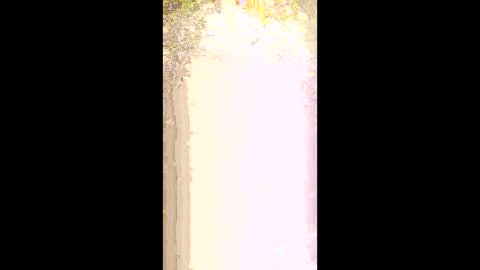 seethru9 online show from March 2026 01:18:01 PM