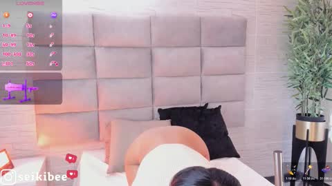 seikibee online show from February 2026 04:24:01 AM