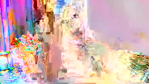 Snapshot of selenashemale chatting on September 2025 01:31:02 AM Selena online show from September 2025 01:31:02 AM