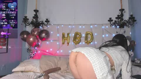 Snapshot of selenee__ chatting on December 2024 03:55:02 PM Selenee online show from December 2024 03:55:02 PM