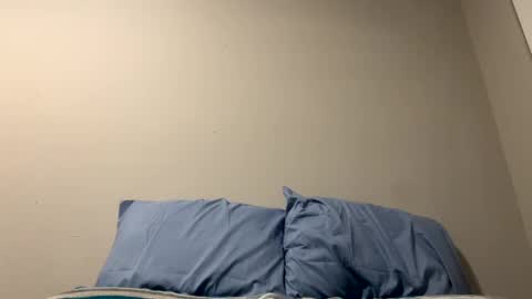 Snapshot of sethbear8963 chatting on December 2024 01:47:01 AM SethBear online show from December 2024 01:47:01 AM