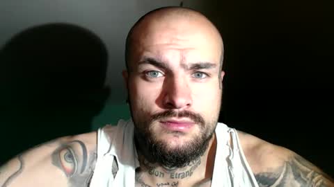 SevenDragons online show from November 2025 02:49:01 PM