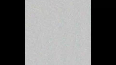 Seven online show from December 2024 08:15:02 AM