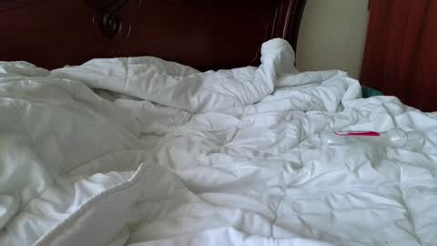 Snapshot of sexangelsssss chatting on January 2025 12:41:02 PM Katya online show from January 2025 12:41:02 PM